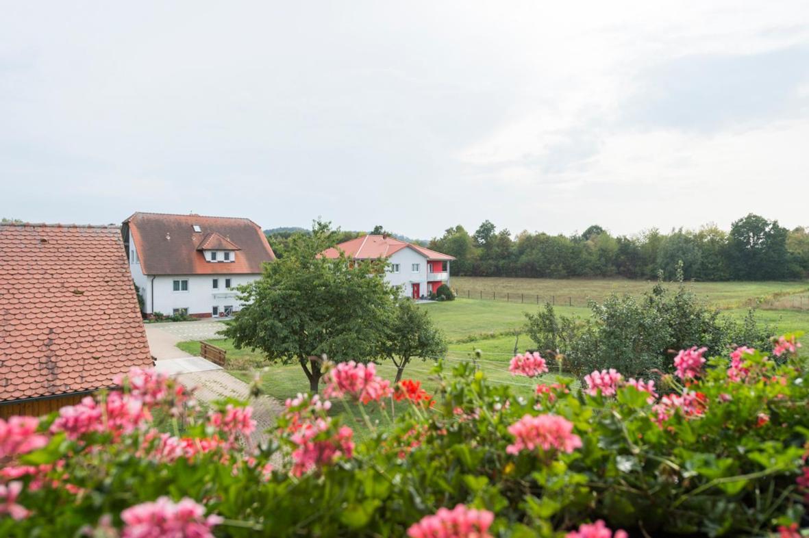Oberdachstetten Gasthaus-Pension Hofmann מראה חיצוני תמונה